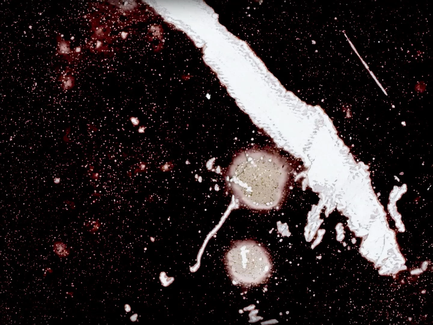 개의 해에 말들 horses in the year of the dog_테라 롱 Terra Long