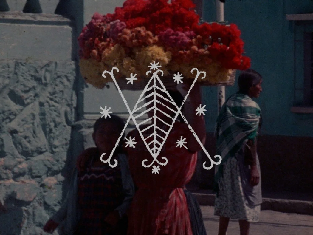 베베르(바바라를 위해) Vever (for Barbara)_데보라 스트라트만 Deborah Stratman