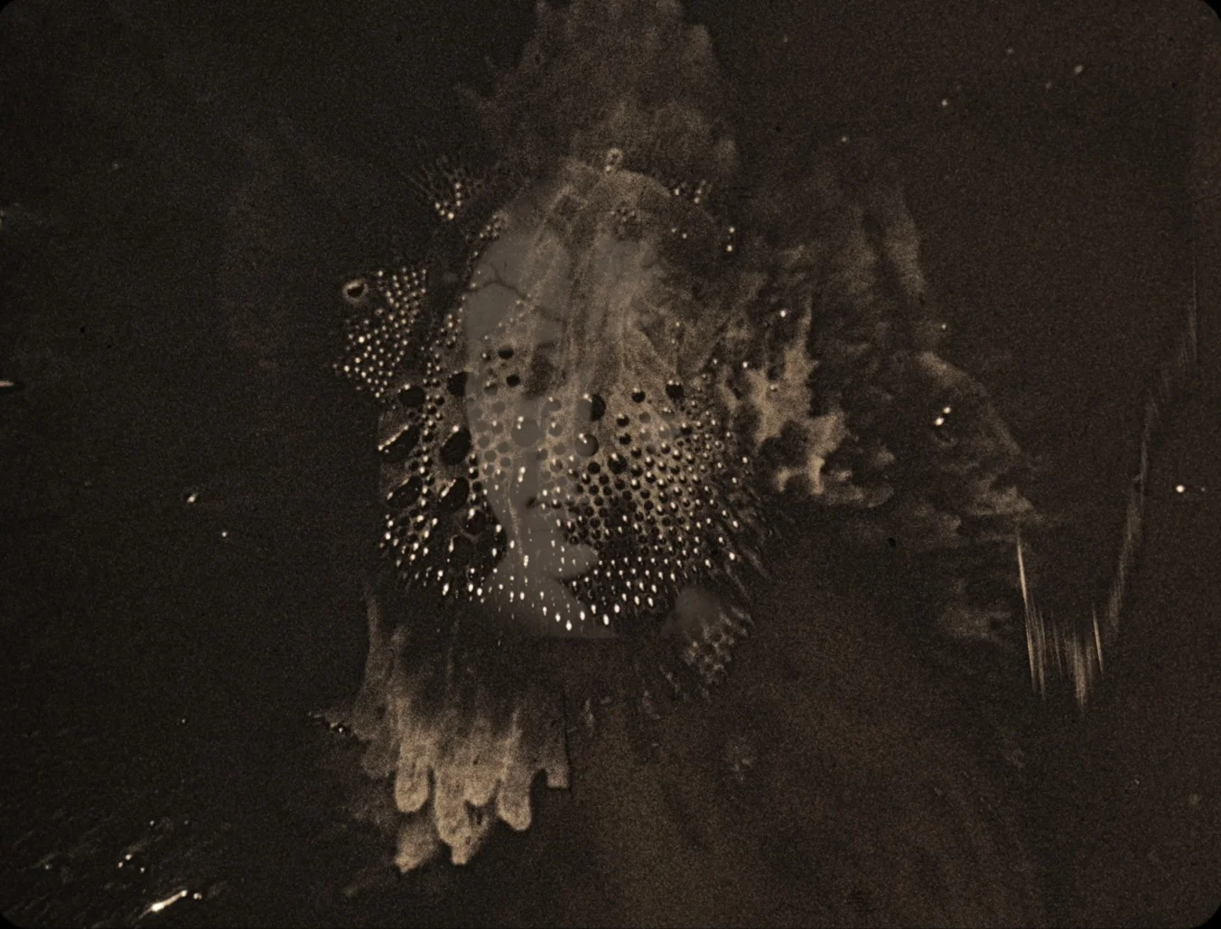 별들의 부식 PWDRE SER: the rot of stars_샬롯 프라이스 Charlotte Pryce