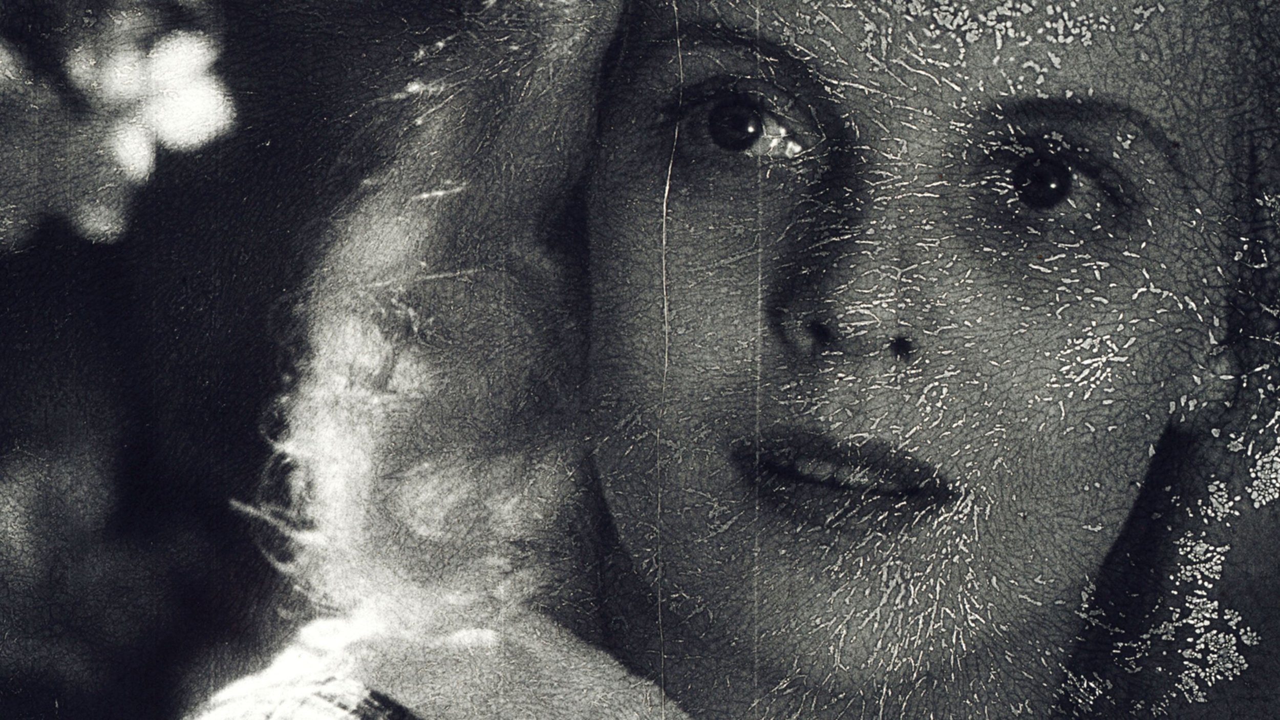 화염 Polte (Flame)_사미 반 잉엔 Sami van Ingen