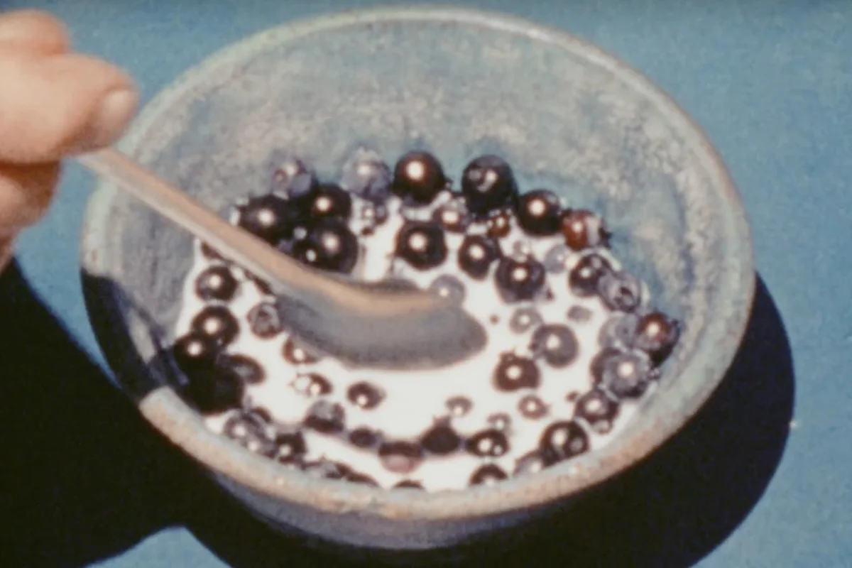 블루스 Blues_래리 고트하임 Larry Gottheim