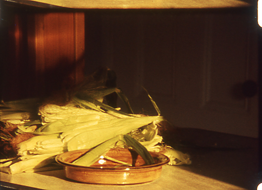 콘 Corn_래리 고트하임 Larry Gottheim