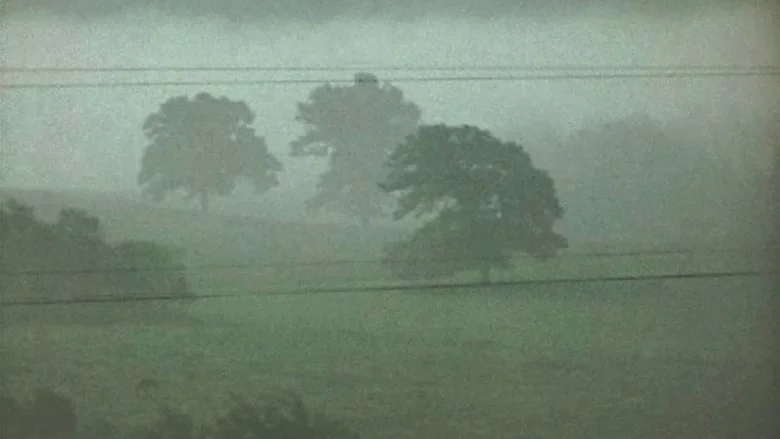 포그라인 Fog Line_래리 고트하임 Larry Gottheim