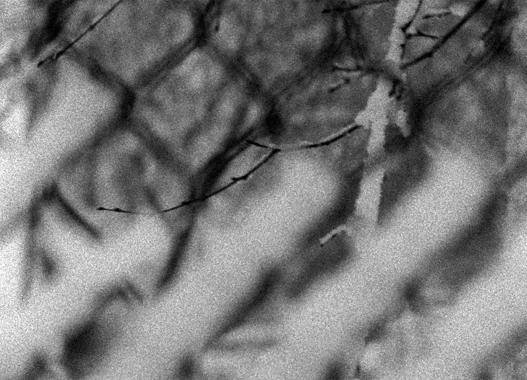 추방 Exile_로버트 타드 Robert Todd 