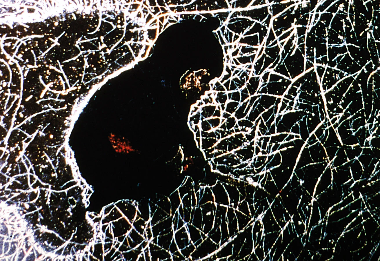 스노우맨 The Snowman_필 솔로몬 Phil Solomon