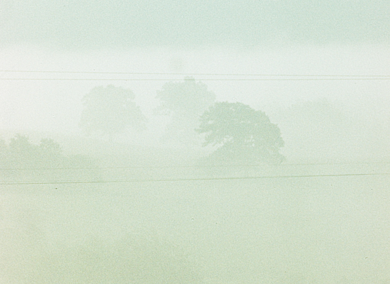 Fog Line.jpeg