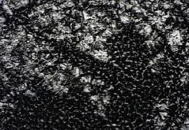 클렙시드라 Clepsydra_필 솔로몬 Phil Solomon