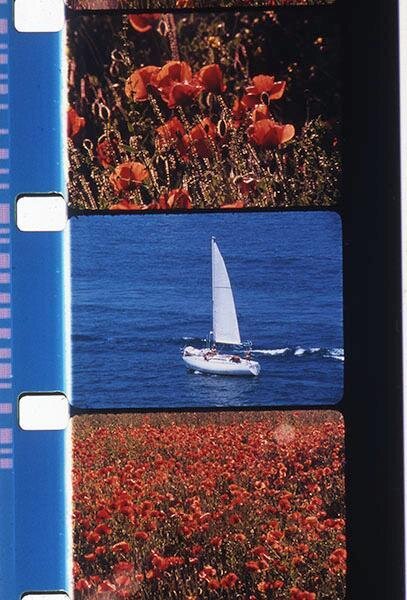 양귀비와 요트 Poppies and Sailboats (Voiliers et Coquelicots)_로즈 라우더 Rose Lowder