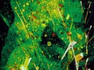 볼더 블루와 진주들 그리고... Boulder Blues and Pearls and ..._스탠 브래키지 Stan Brakhage