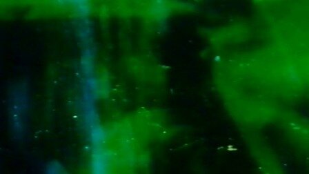 흙으로 된 둥지 Earthen Aerie_스탠 브래키지 Stan Brakhage