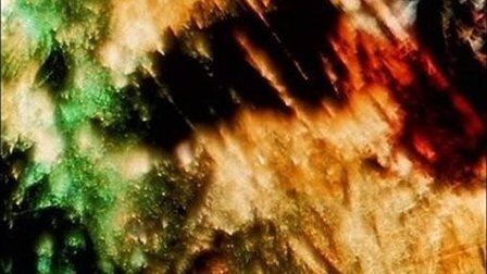 엘리멘트리 프레이즈 Elementary Phrases_스탠 브래키지 Stan Brakhage