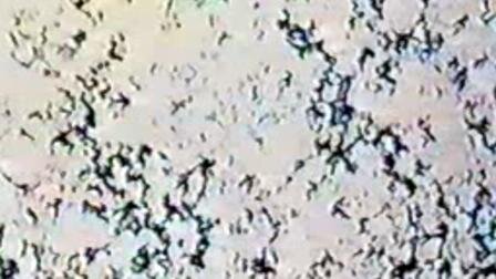 이페메랄 솔리디티 Ephemeral Solidity_스탠 브래키지 Stan Brakhage