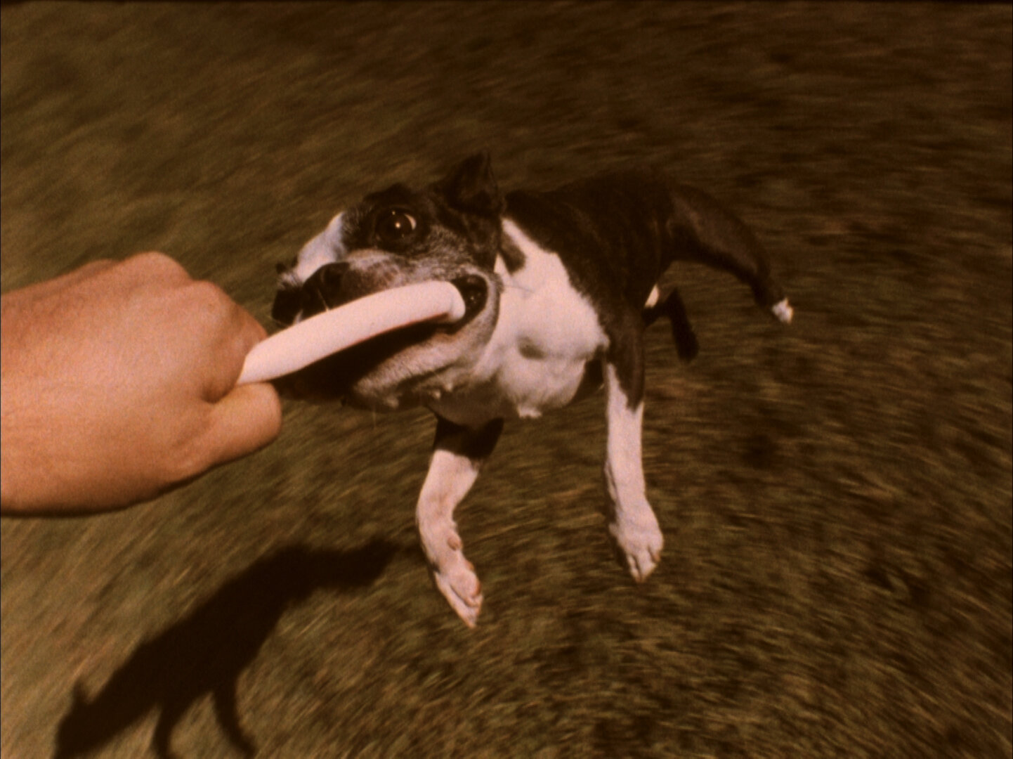 시드 Sid_제프 셔 Jeff Scher