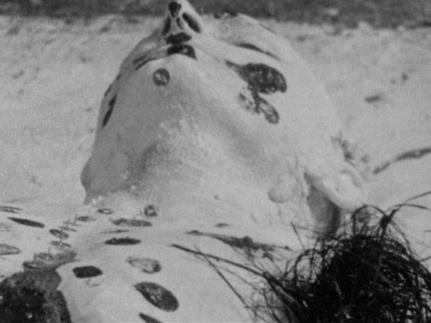 10/65 자해 Self-Mutilation(Selbstverstümmelung)_쿠르트 크렌 Kurt Kren