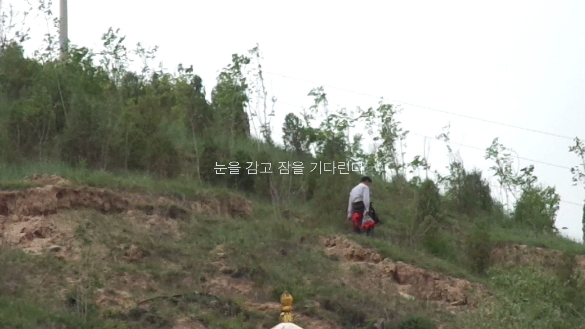 고양이는자는척을할까_장윤미_1(main).jpg