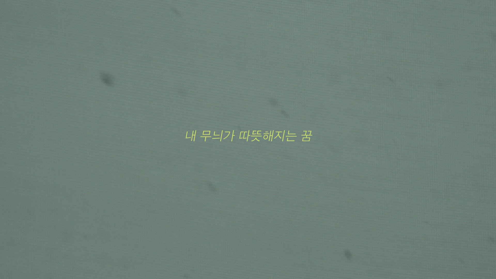 고양이는자는척을할까_장윤미_4.jpg