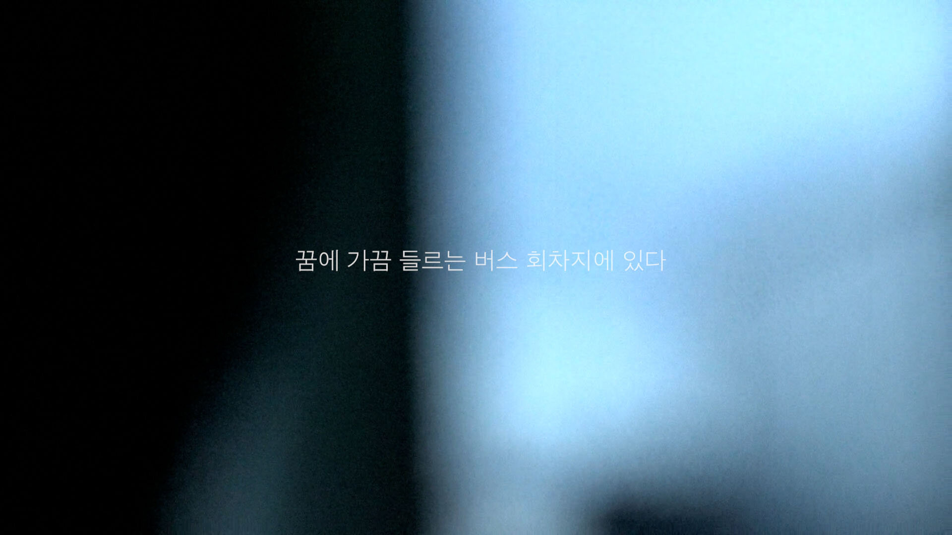 고양이는자는척을할까_장윤미_5.jpg