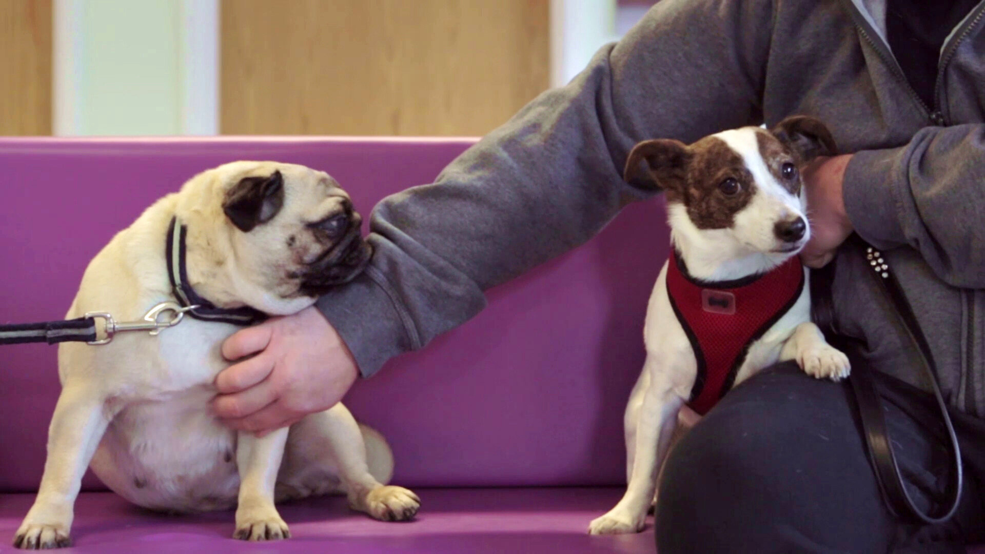 03_Can_t Wait_still_1.jpeg