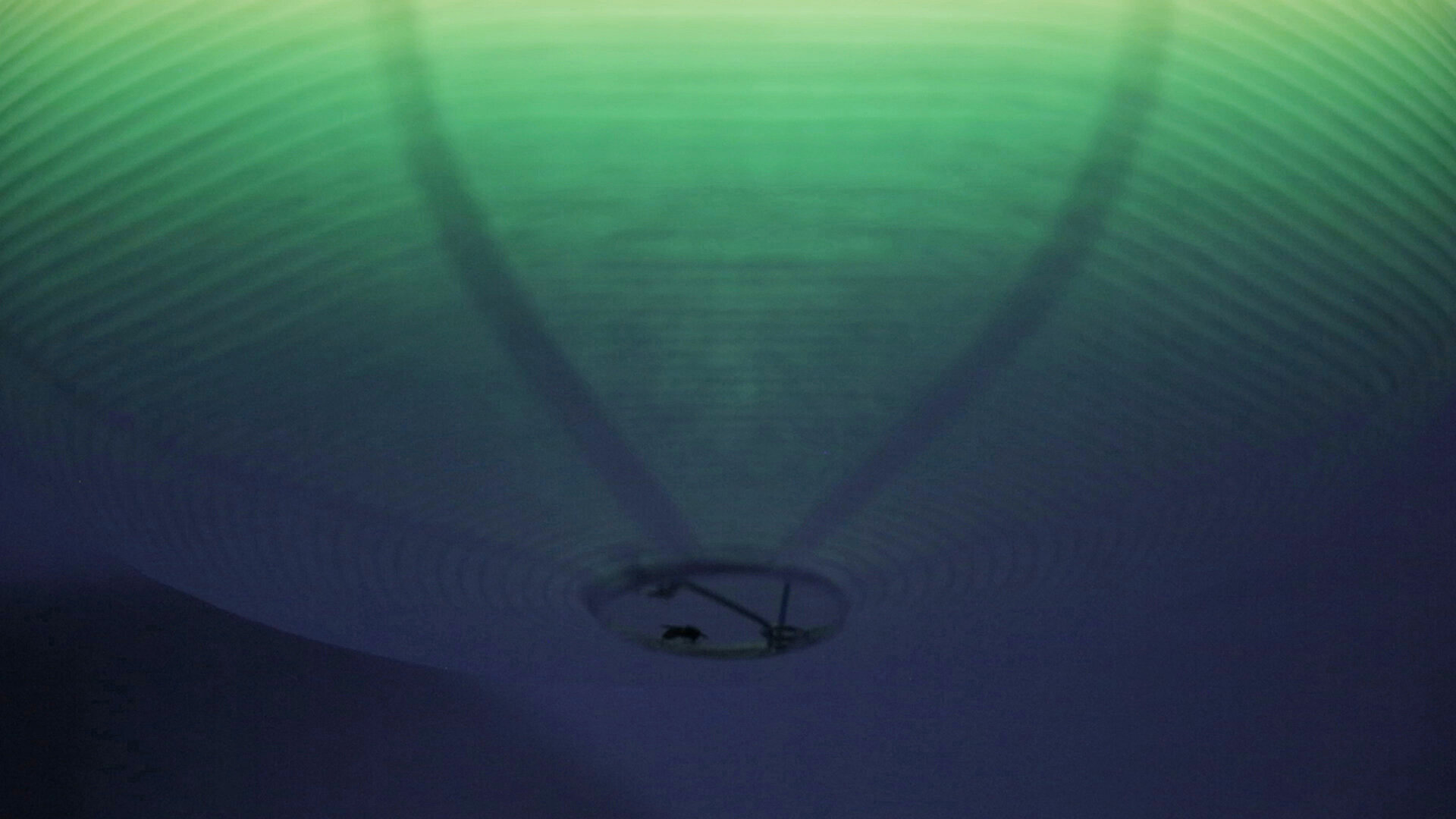 05_The Planet_still_1.jpeg