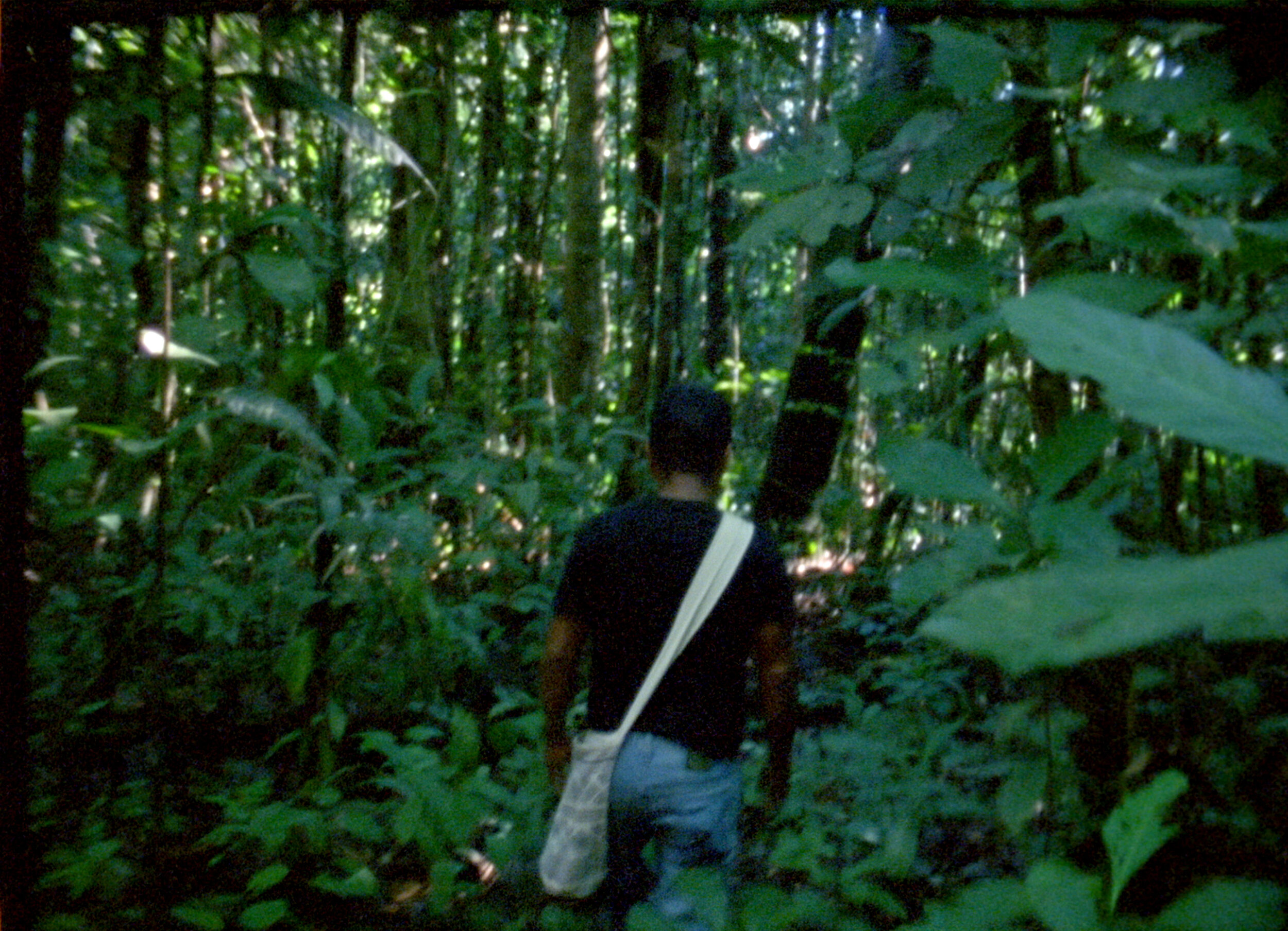 미로 THE LABYRINTH