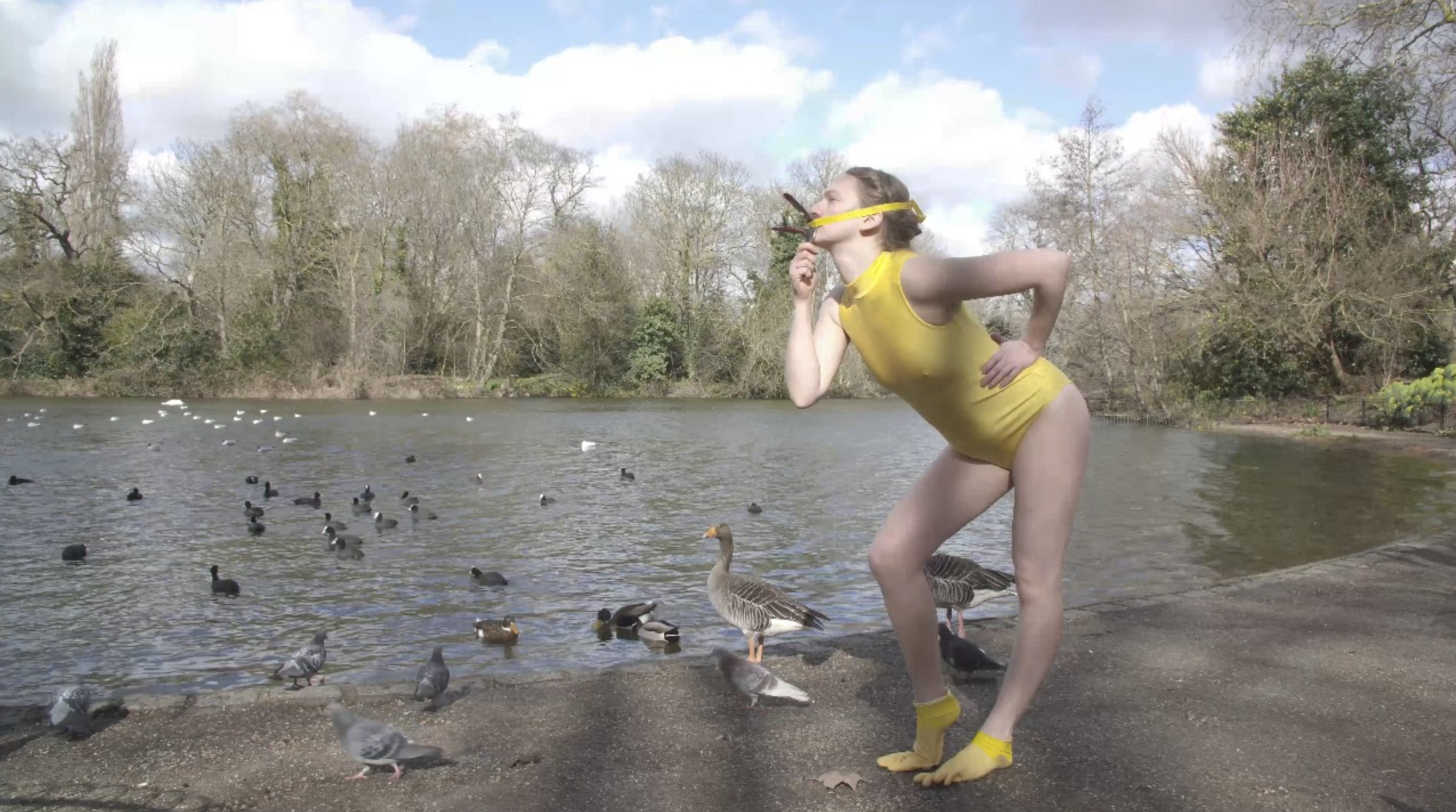 유혹 SeDUCKtion _로지 기븐스 Rosie Gibbens 