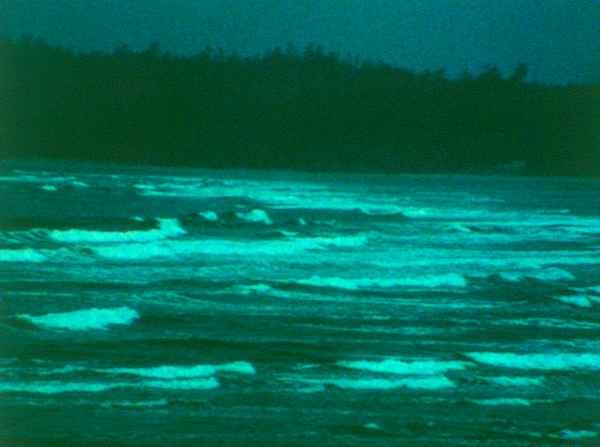 A Child's Garden and the Serious Sea_01.jpeg