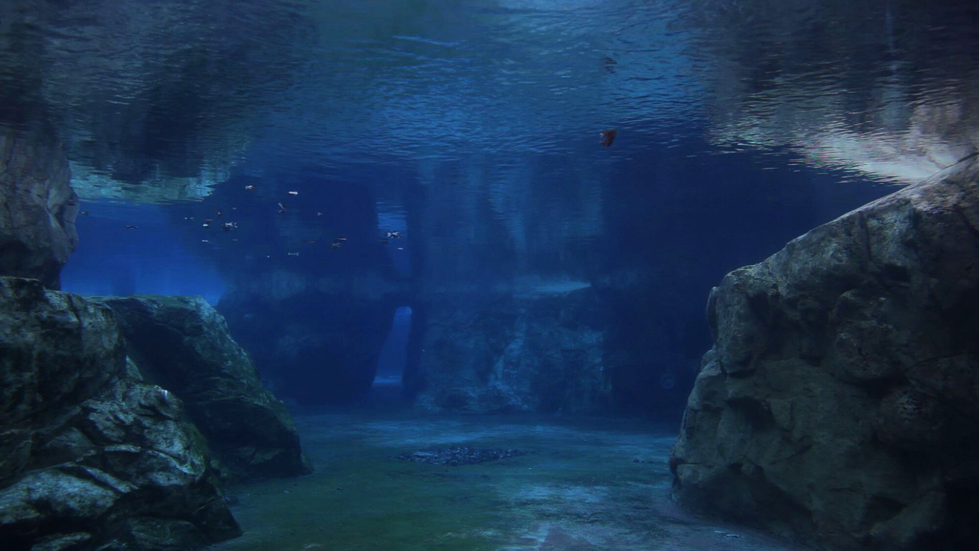 더 멀리 더 작은 Further, Smaller