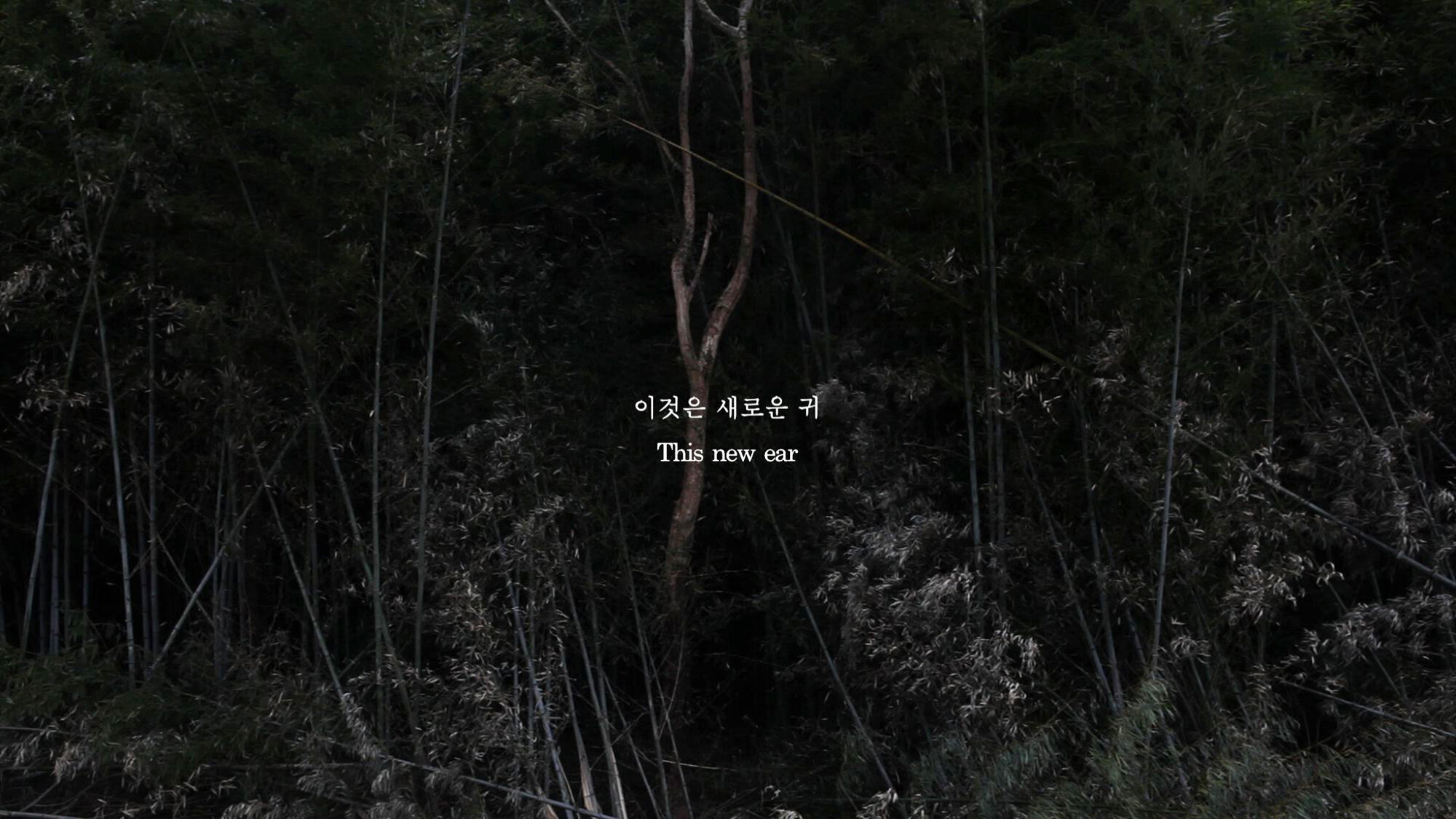 04_벤자민의 숲_01.jpg