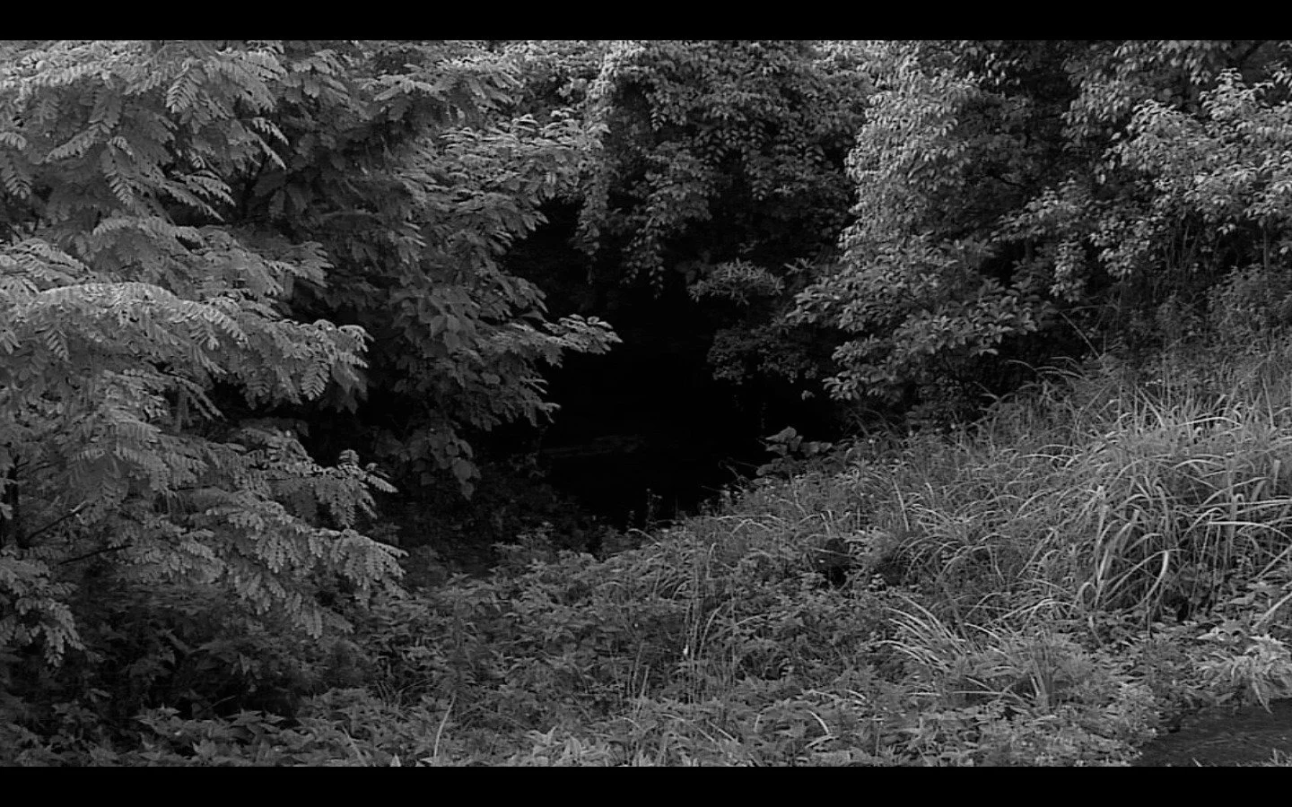 안과 밖 IN/OUT_장은주 Jang Eun-Ju