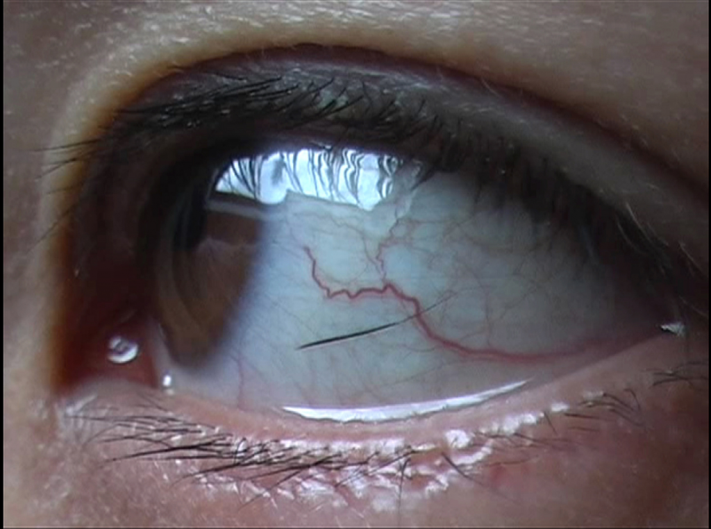 공화국 찬가 The Hymn of a Republic_안정윤 Ahn Jeong-Yoon