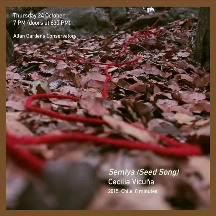 세미야(씨앗의 노래)_Semiya (Seed song)_세실리아 비쿠냐_Cecilia Vicuña