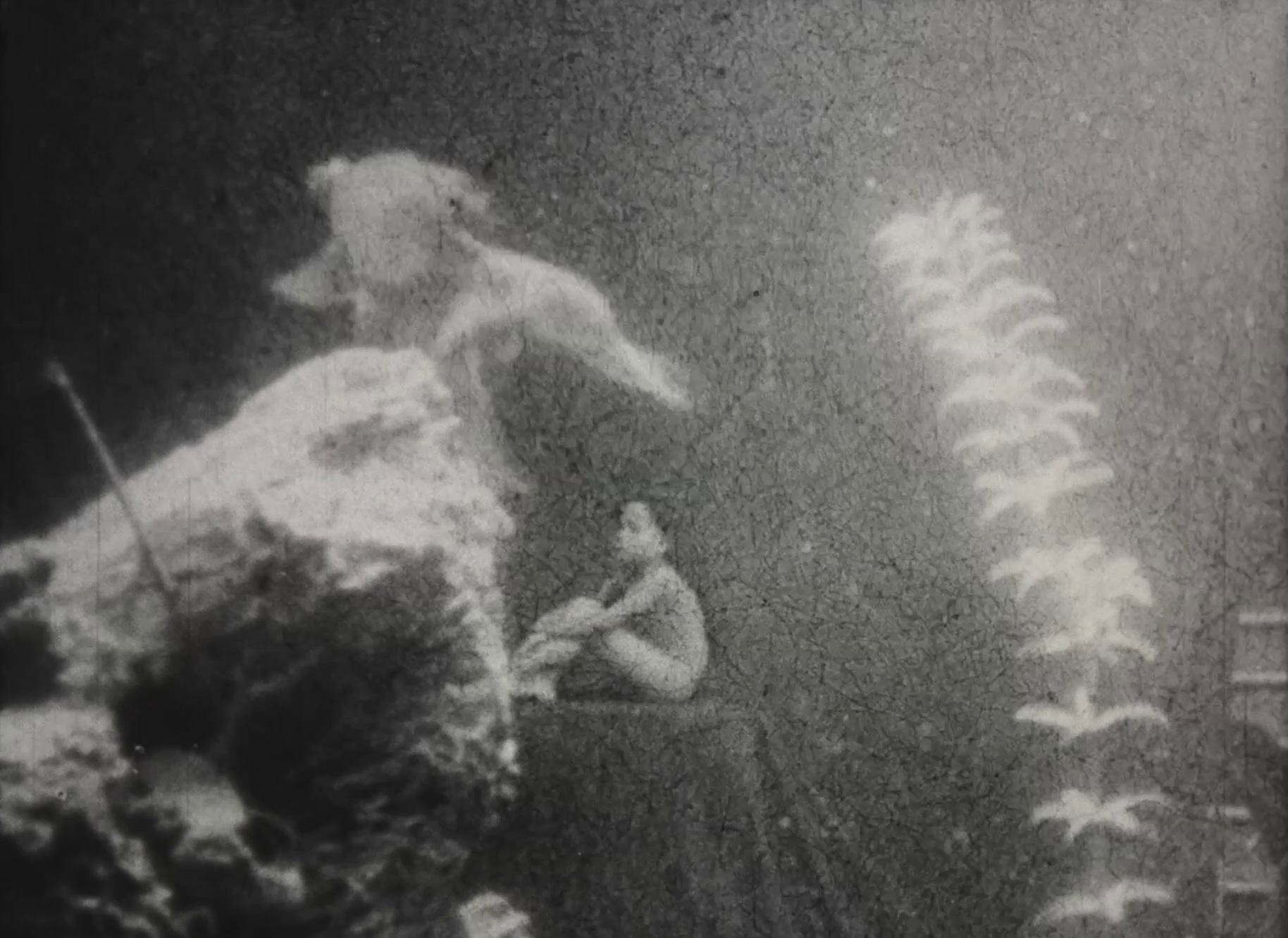 Trick+Cinematograph.png