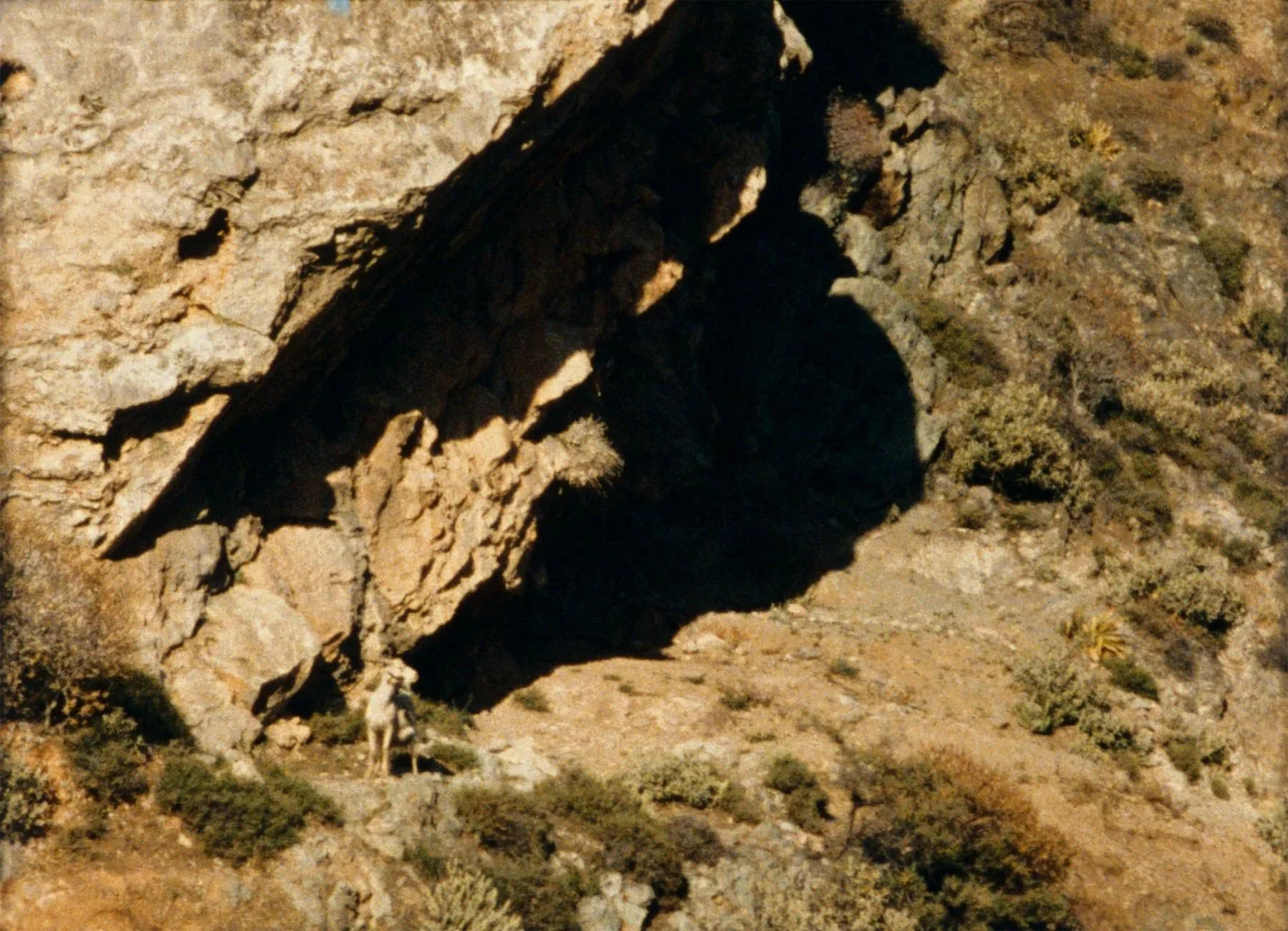 Indi-Visual+4_03_ground_2.jpg