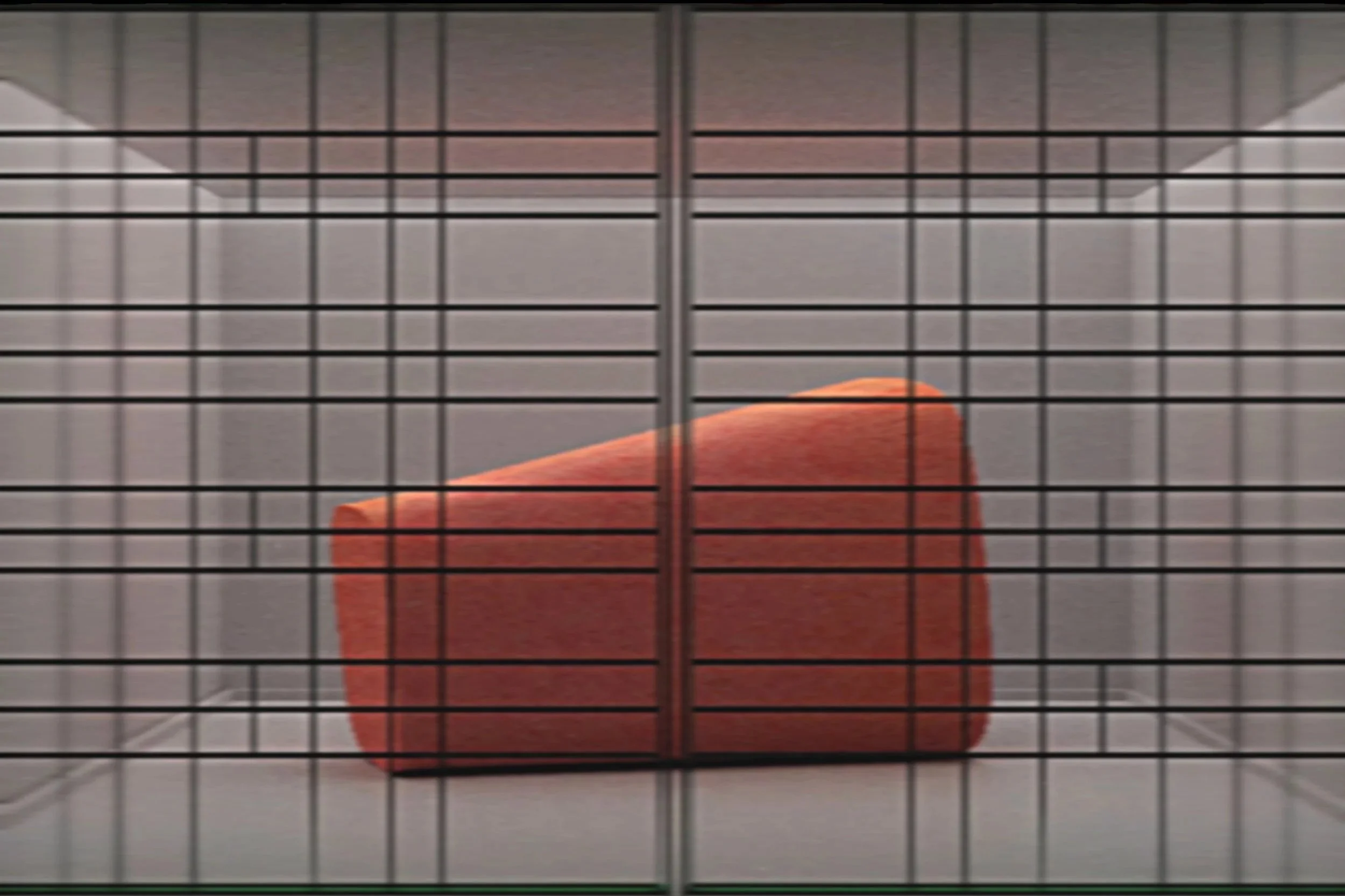 EX-Now+3_01_A+Metamorphosis_Still_3.jpg
