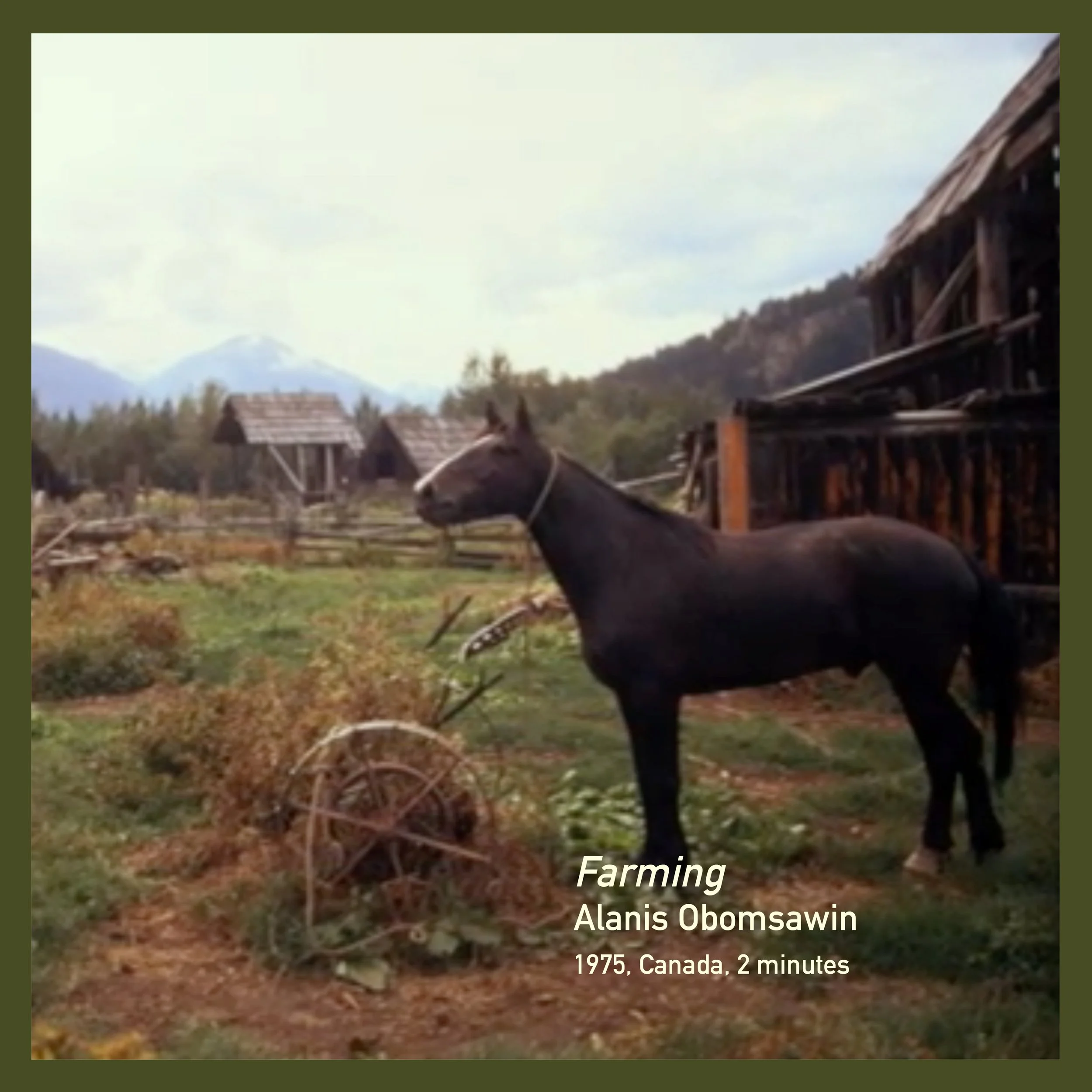 경작_Farming_앨라니스 오봄사윈_Alanis Obomsawin