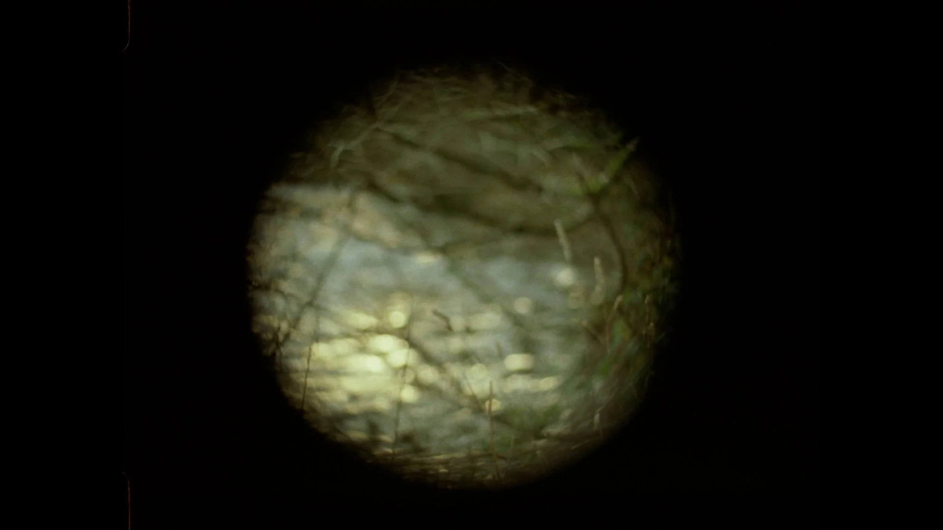 EX-Now_1_05_ELLIPTIC_2.jpg