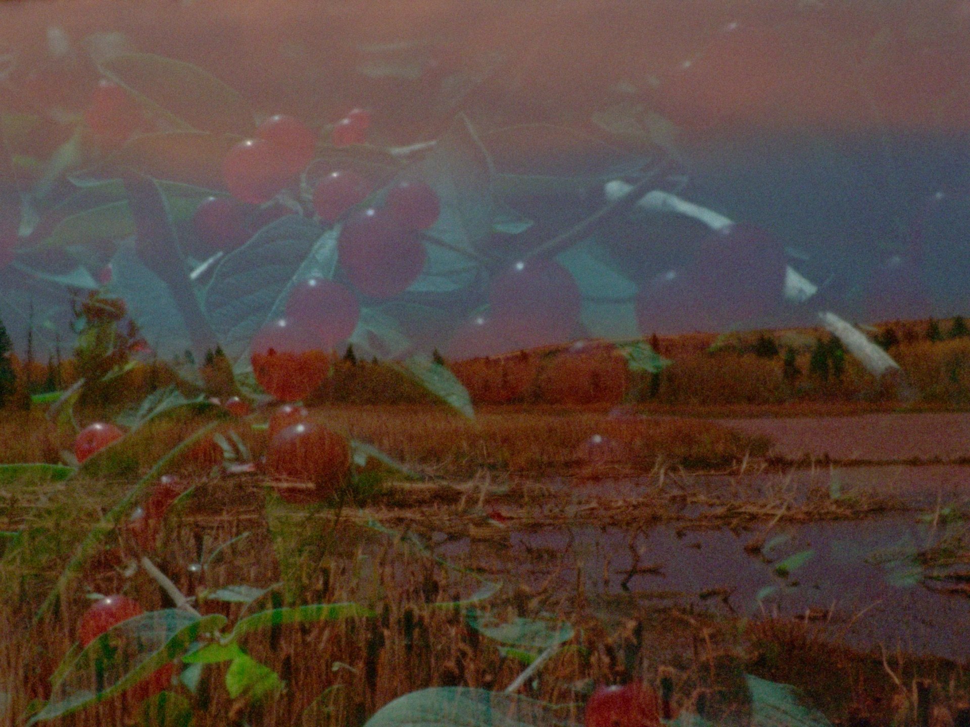 EX-Now_1_01_Mounds Above the Earth_3.jpg