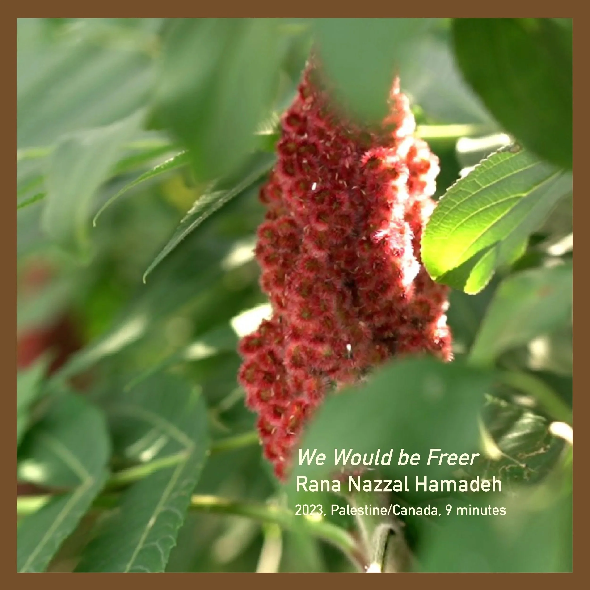우리는 더 자유로울 수 있다_We Would Be Freer_라나 하마데_Rana Nazzal Hamadeh