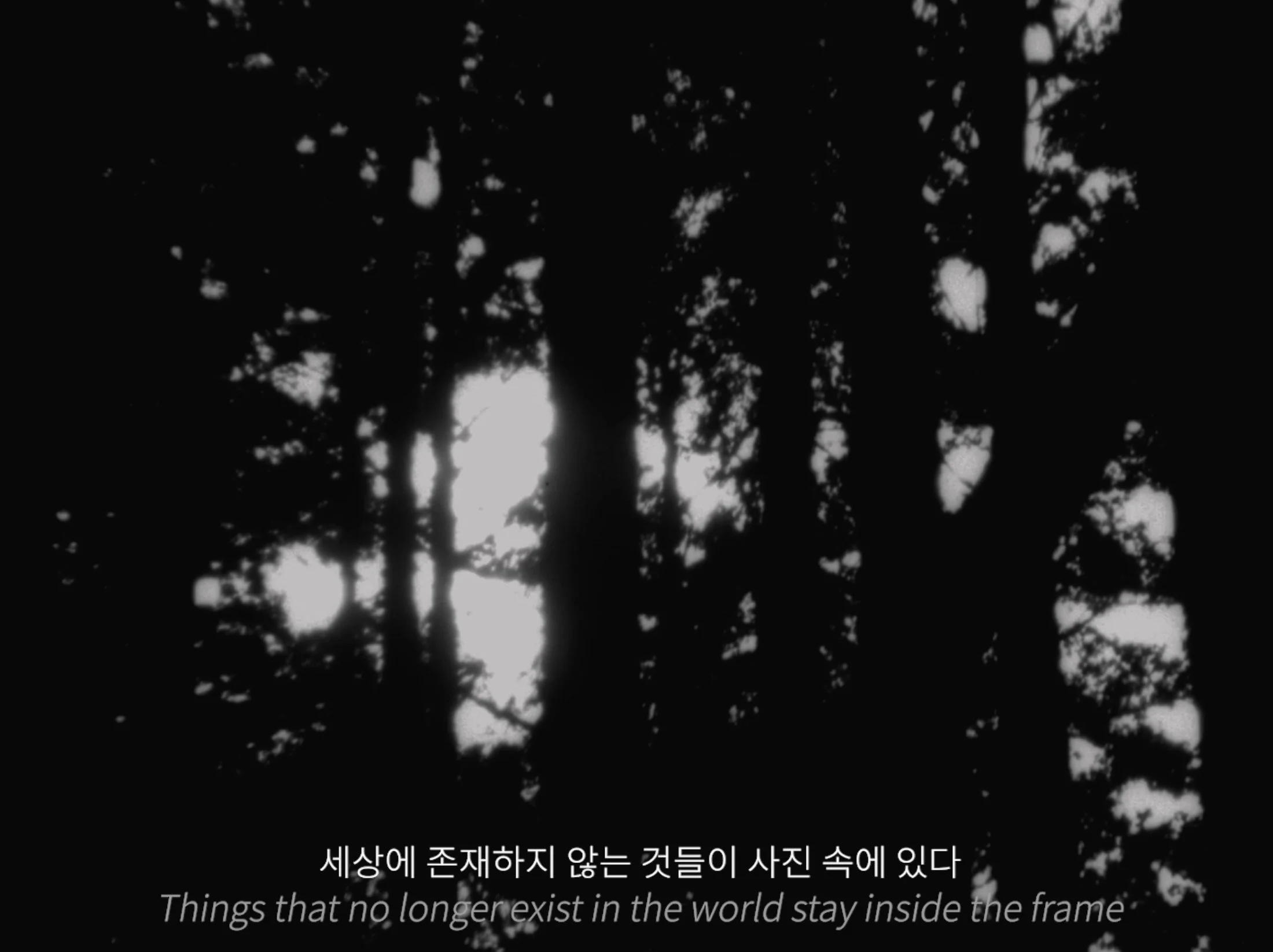 사진소설_4.jpg