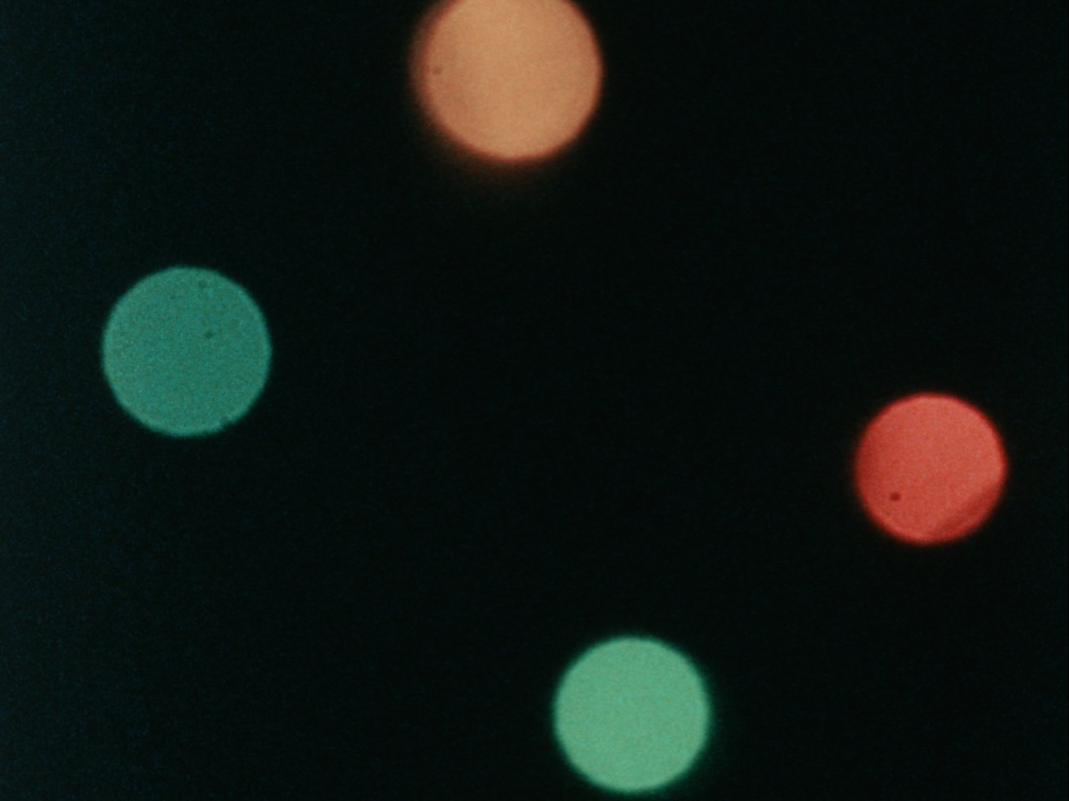 Obscured in Soft Light_1.jpg