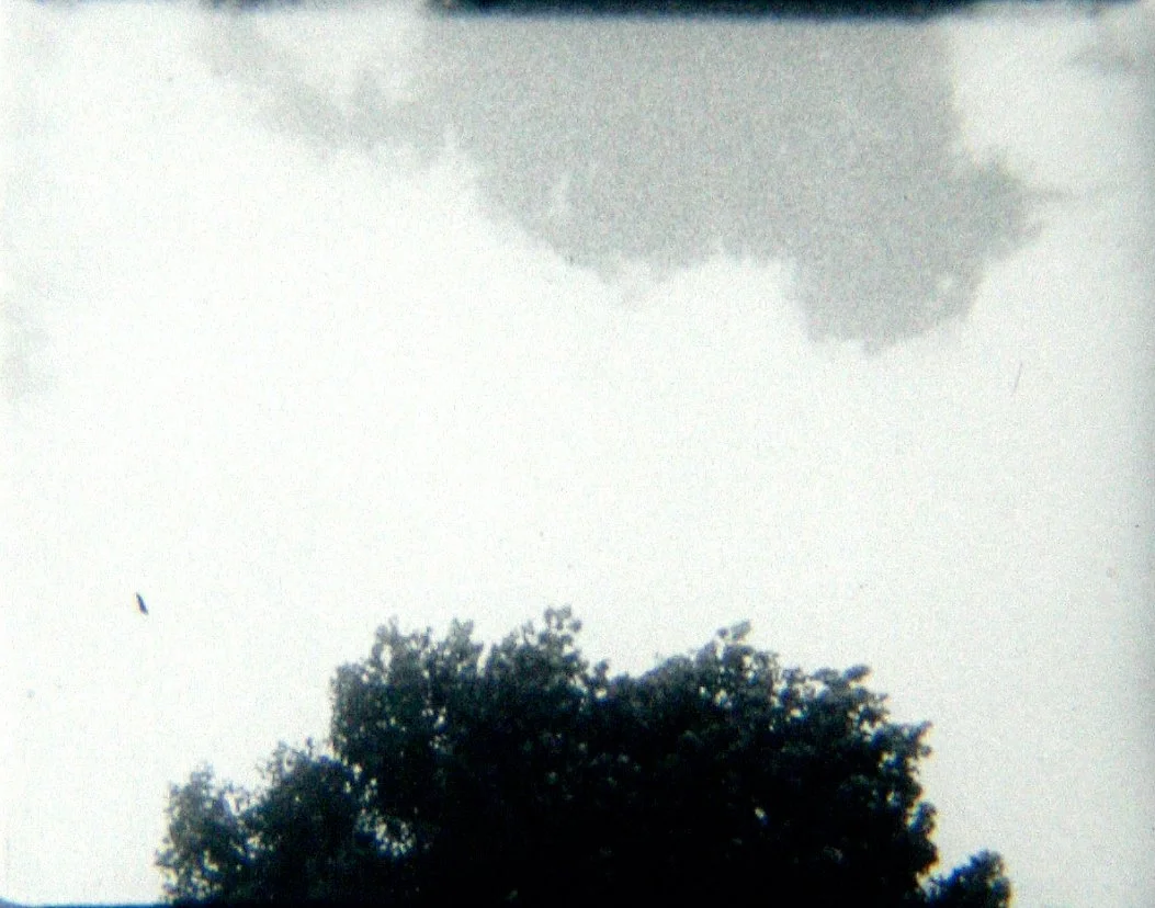 TREE & CLOUD.jpg