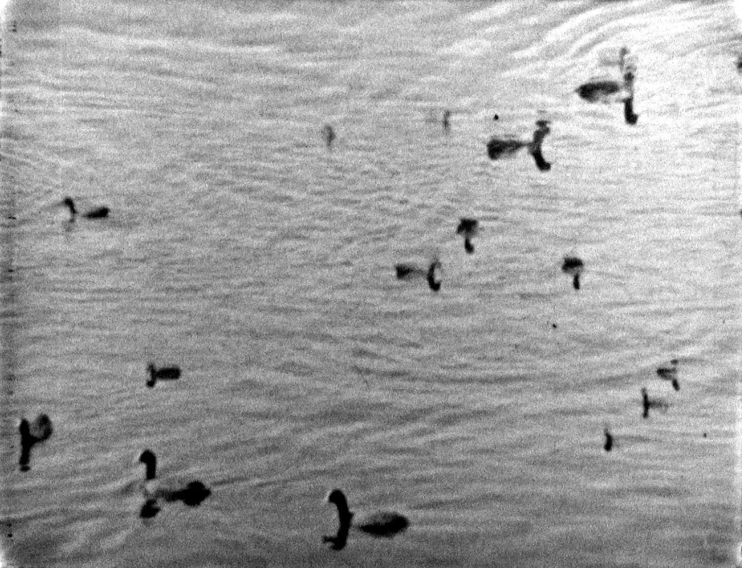 COOTS.jpg