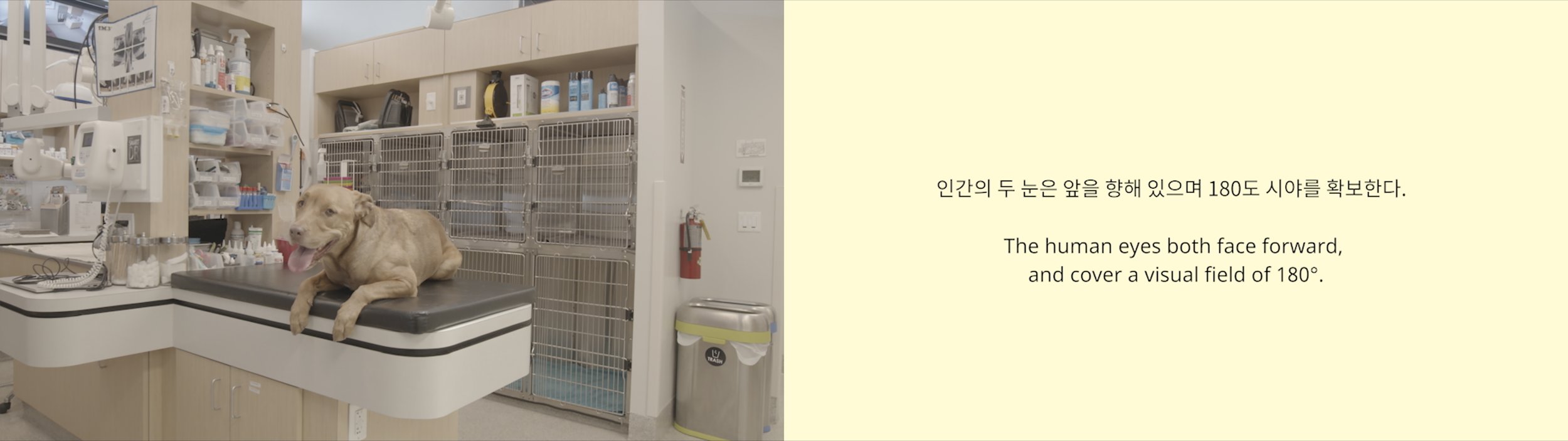 엘리의눈02.jpg