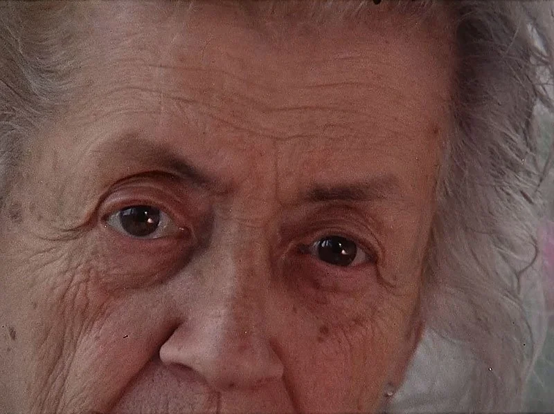 제인, 바라보다_Jane, Looking_에이미 할펀_Amy Halpern