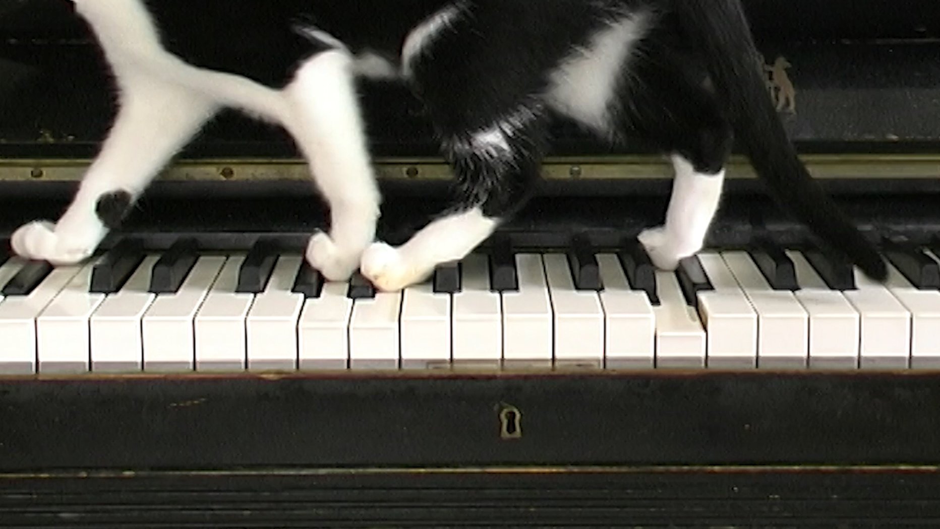 Pause from Films about Music (series).jpg