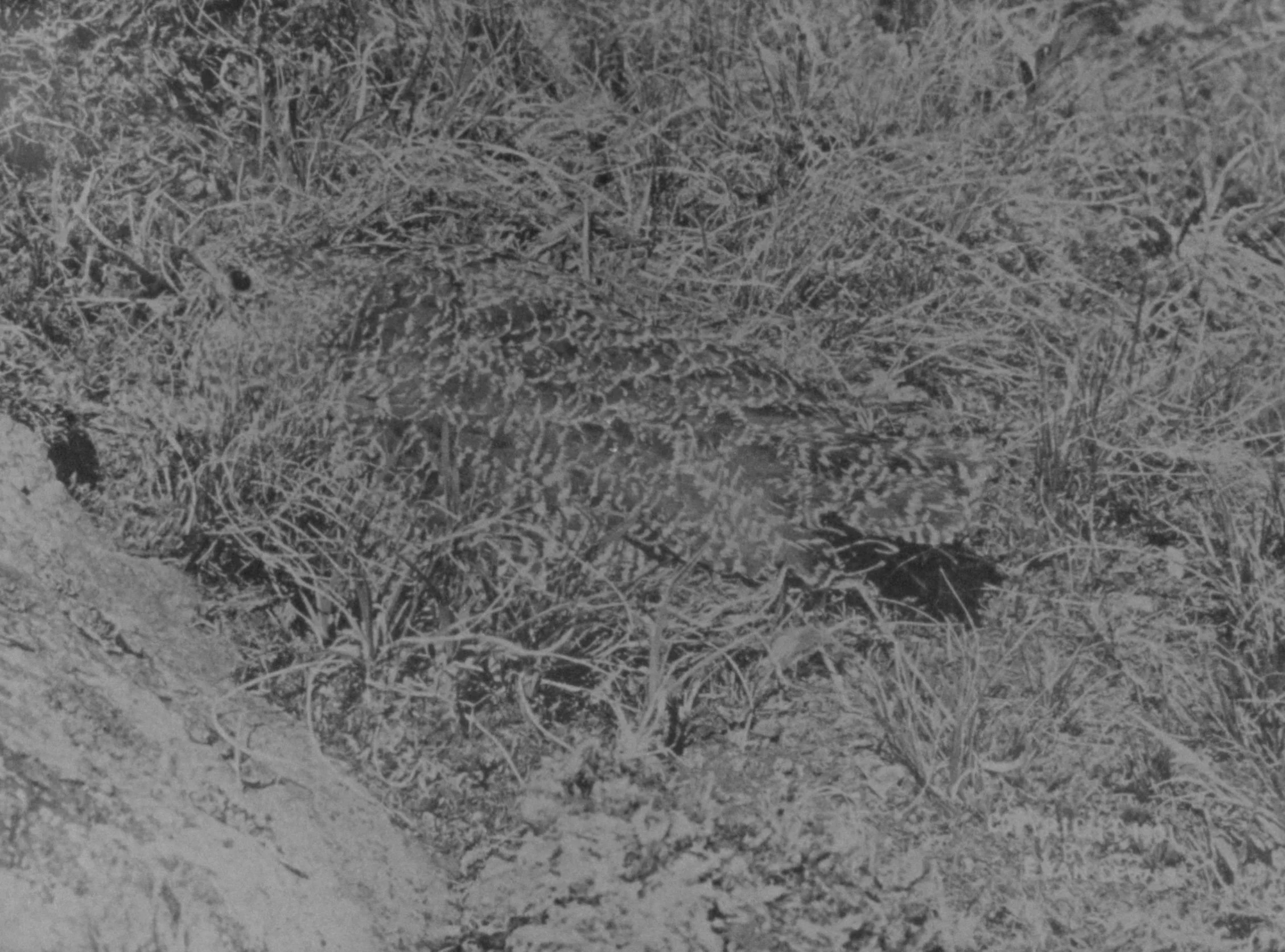 EX-Now_1_02_Hiding Places_3.jpg