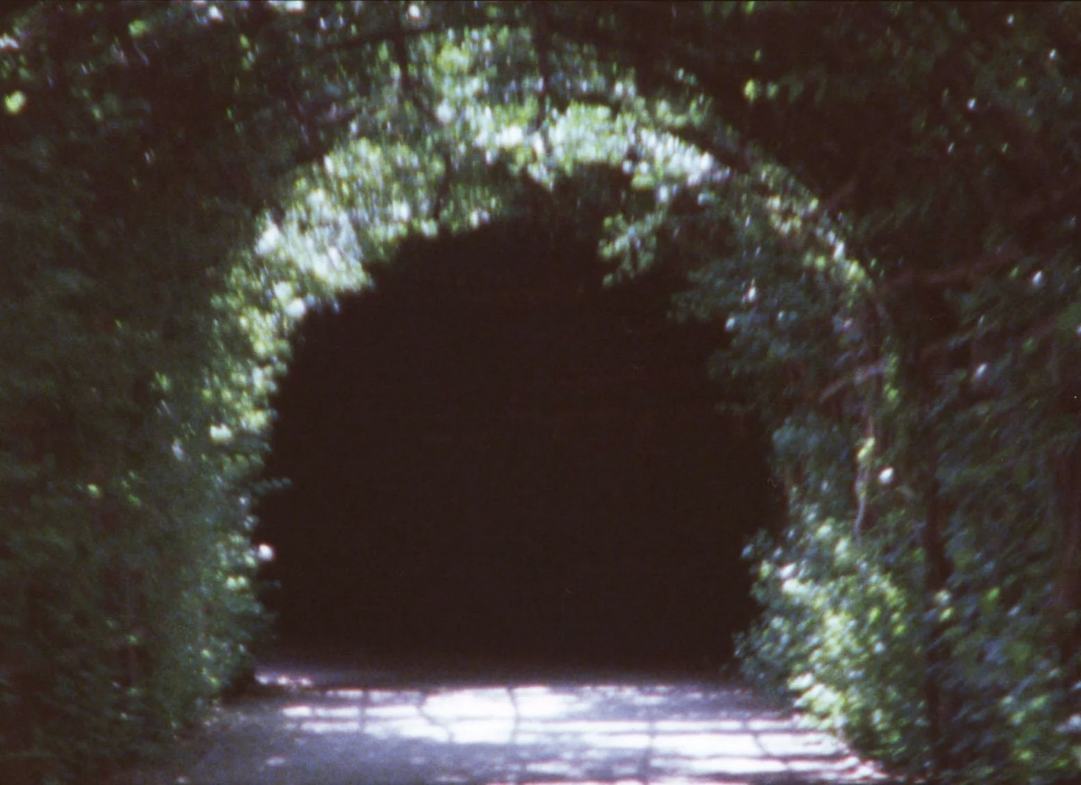 Indi-Visual 2_02_amor_3.jpg