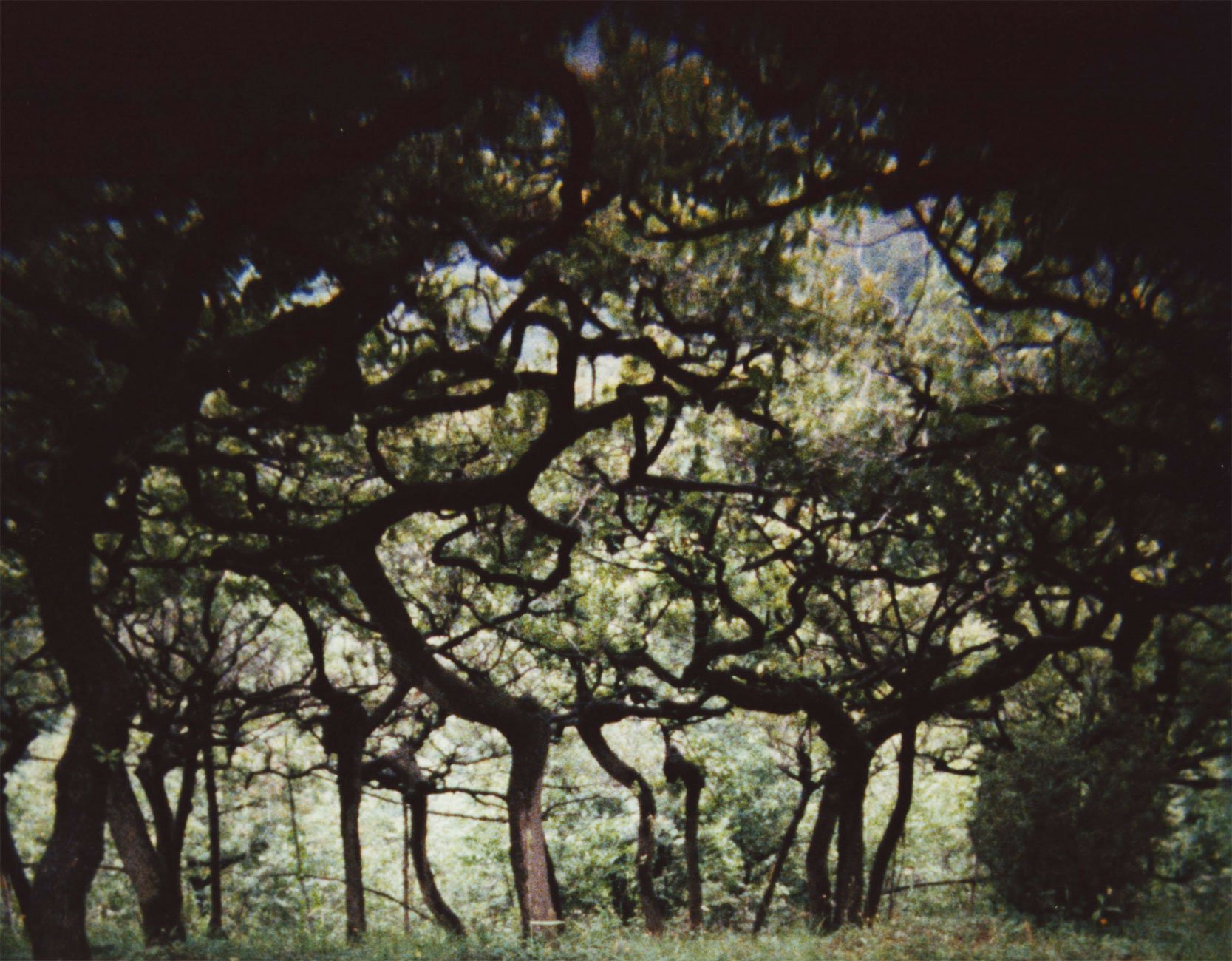 Indi-Visual 4_01_The Hedge Theater_3.jpg