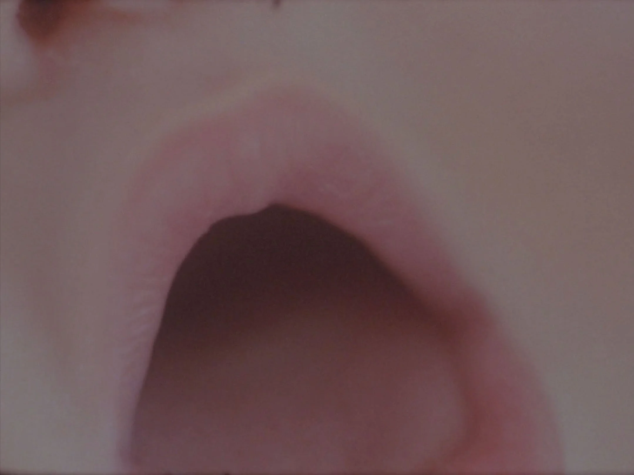 The tongue that grasps_2.JPG