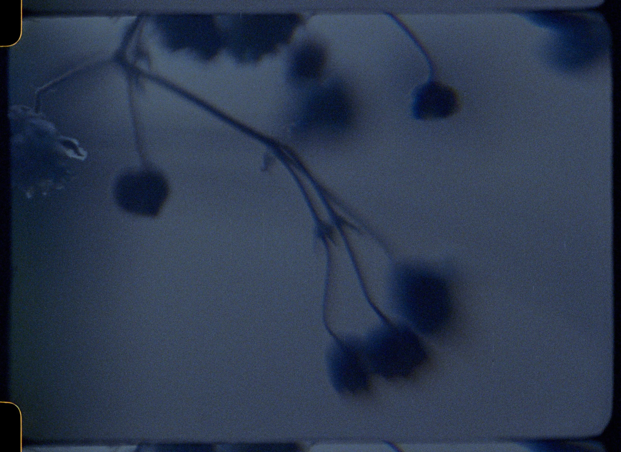 EX-Now 4_03_Shades of Blue_Still 3.JPG